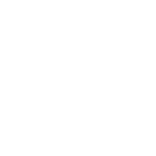 Logo inserategris blanc